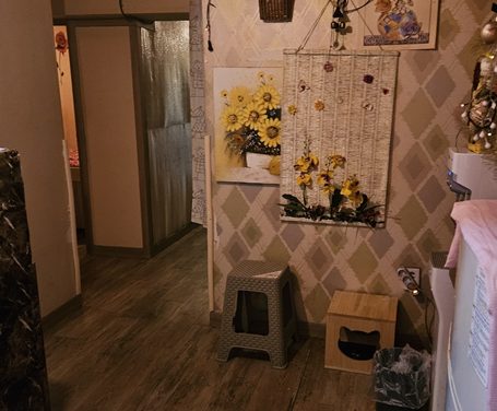 경기 안산시 사진 1