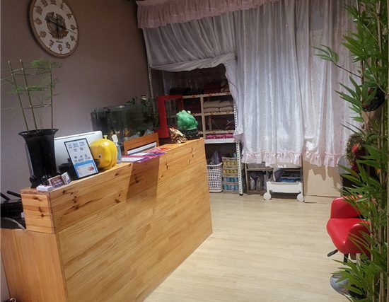 강원 원주시 사진 1